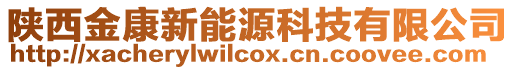 陜西金康新能源科技有限公司