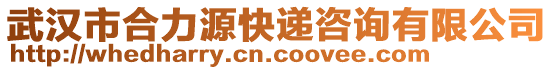 武漢市合力源快遞咨詢有限公司