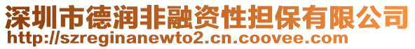 深圳市德潤(rùn)非融資性擔(dān)保有限公司