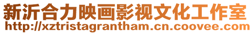 新沂合力映畫影視文化工作室