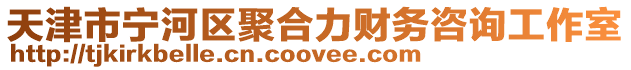 天津市寧河區聚合力財務咨詢工作室