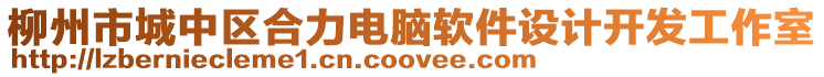 柳州市城中區(qū)合力電腦軟件設(shè)計(jì)開(kāi)發(fā)工作室