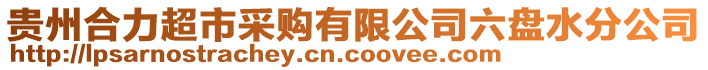 貴州合力超市采購有限公司六盤水分公司