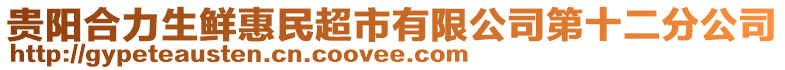 貴陽合力生鮮惠民超市有限公司第十二分公司