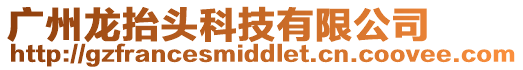 廣州龍?zhí)ь^科技有限公司