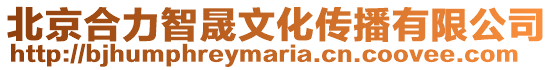 北京合力智晟文化傳播有限公司