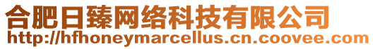 合肥日臻網(wǎng)絡(luò)科技有限公司