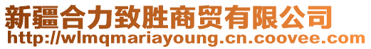 新疆合力致勝商貿有限公司