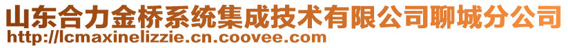 山東合力金橋系統(tǒng)集成技術(shù)有限公司聊城分公司