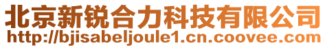 北京新銳合力科技有限公司