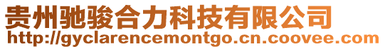 貴州馳駿合力科技有限公司