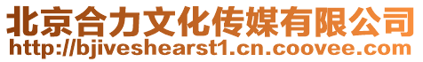北京合力文化傳媒有限公司