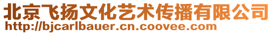 北京飛揚(yáng)文化藝術(shù)傳播有限公司