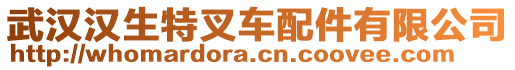 武漢漢生特叉車配件有限公司