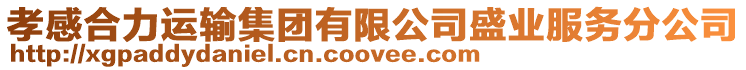 孝感合力運輸集團有限公司盛業(yè)服務分公司