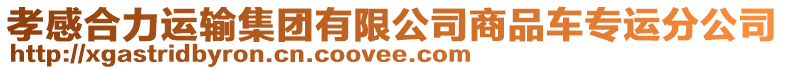 孝感合力運輸集團有限公司商品車專運分公司