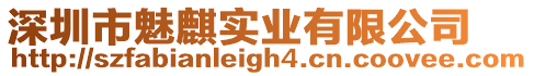 深圳市魅麒實業有限公司