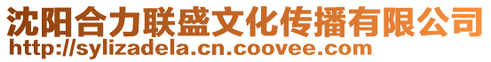 沈陽合力聯盛文化傳播有限公司