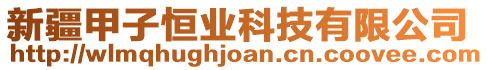 新疆甲子恒業科技有限公司