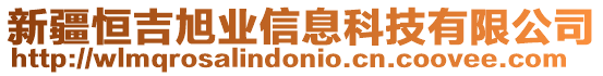 新疆恒吉旭業信息科技有限公司