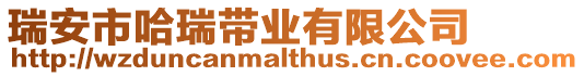 瑞安市哈瑞帶業(yè)有限公司