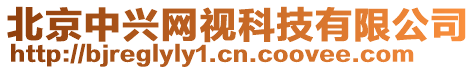 北京中興網(wǎng)視科技有限公司