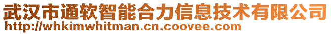 武漢市通軟智能合力信息技術(shù)有限公司