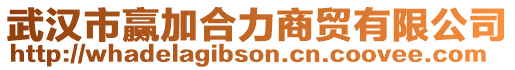 武漢市贏加合力商貿(mào)有限公司
