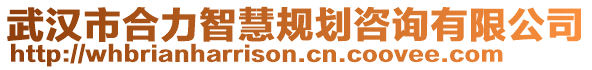 武漢市合力智慧規劃咨詢有限公司