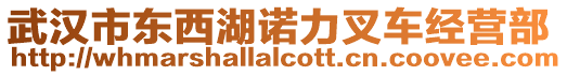 武漢市東西湖諾力叉車經營部