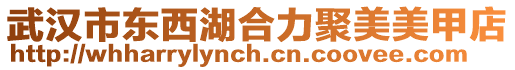武漢市東西湖合力聚美美甲店