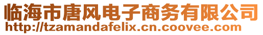 臨海市唐風電子商務有限公司
