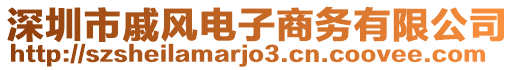 深圳市戚風電子商務有限公司