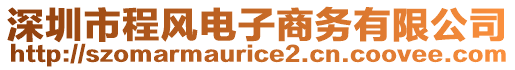深圳市程風電子商務有限公司
