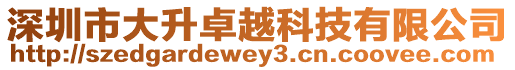 深圳市大升卓越科技有限公司