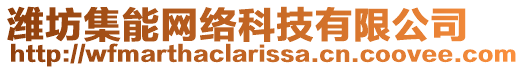 濰坊集能網絡科技有限公司