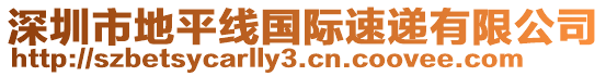 深圳市地平線國(guó)際速遞有限公司