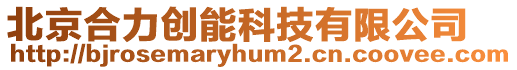 北京合力創(chuàng)能科技有限公司