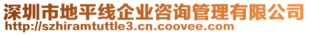 深圳市地平線企業(yè)咨詢管理有限公司