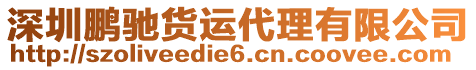 深圳鵬馳貨運(yùn)代理有限公司