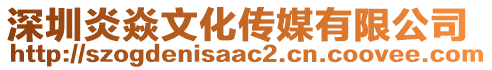 深圳炎焱文化傳媒有限公司