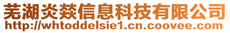 蕪湖炎燚信息科技有限公司