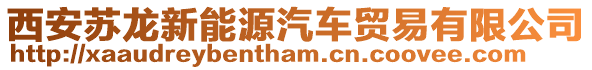 西安蘇龍新能源汽車貿(mào)易有限公司