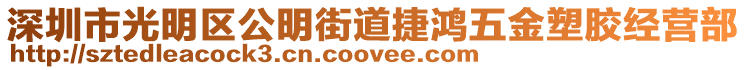 深圳市光明區(qū)公明街道捷鴻五金塑膠經(jīng)營(yíng)部