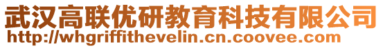 武漢高聯(lián)優(yōu)研教育科技有限公司