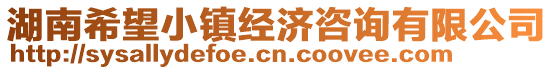 湖南希望小镇经济咨询有限公司