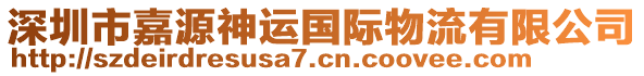 深圳市嘉源神運(yùn)國際物流有限公司