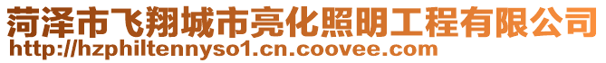 菏澤市飛翔城市亮化照明工程有限公司