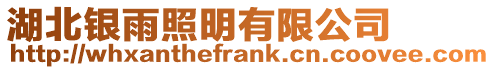 湖北銀雨照明有限公司