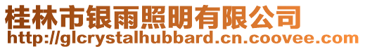 桂林市銀雨照明有限公司
